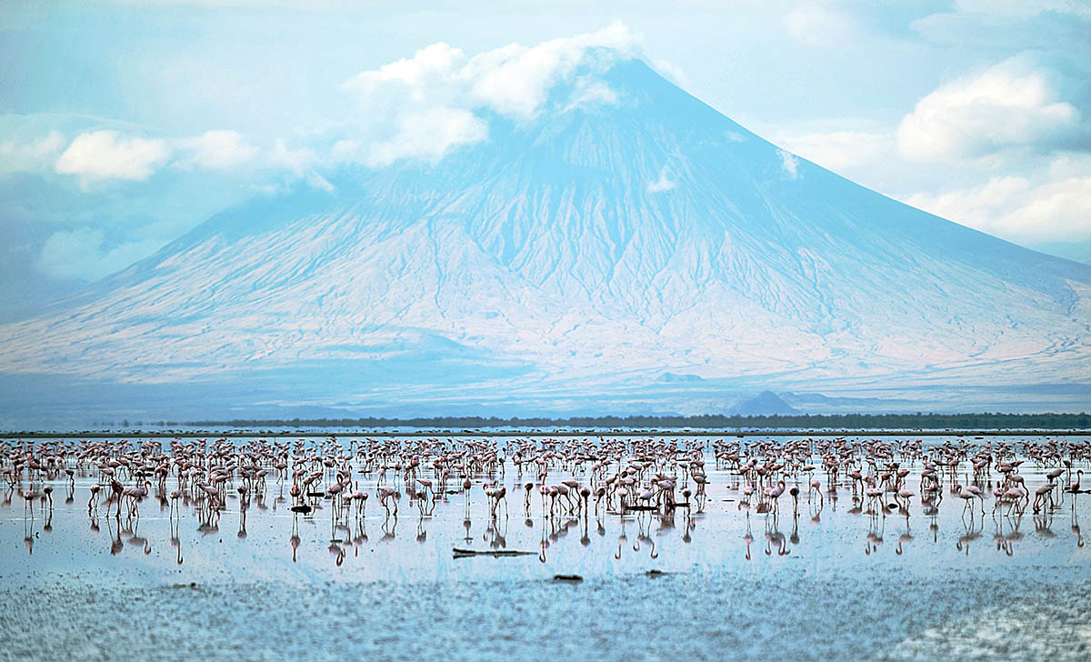 Flamingos at Lake Natron, Tanzania's alkaline lake