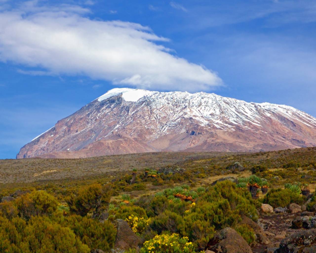 Best Kilimanjaro climb routes