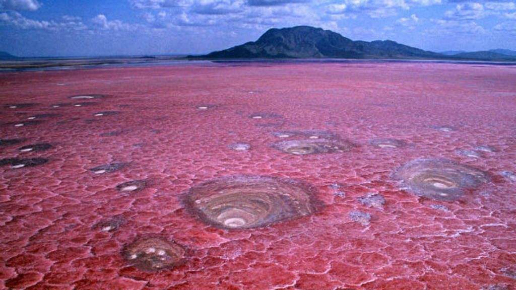 lake natron in tanzania africa