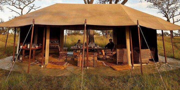 5 Days Wildebeest Calving Season In Ndutu 2 5 Days Budget Lodge Safari