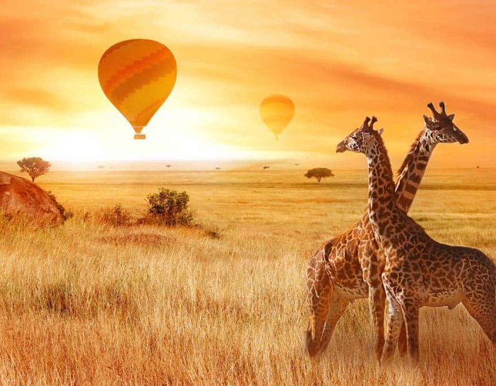 7 Days Tanzania Safari & Beach Holiday Itinerary 3 7 Days Tanzania Safari & Beach Holidays