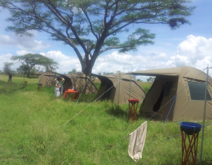 5 Days Affordable North Tanzania Safari 3 5 Days Tanzania Budget Camping Tour