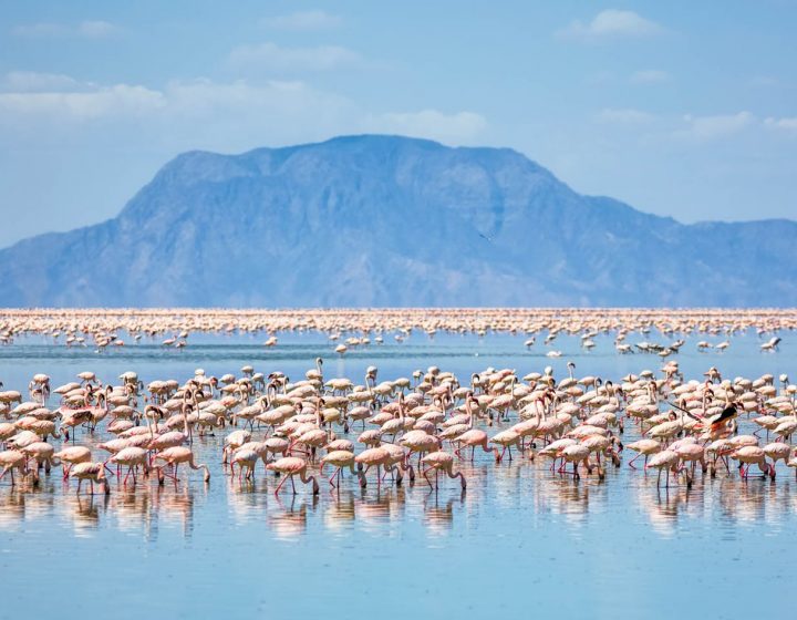 north tanzania natron lake north tanzania natron lake