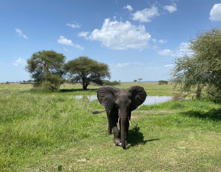 3 Day Serengeti Safari 10 3 Day Serengeti Safari