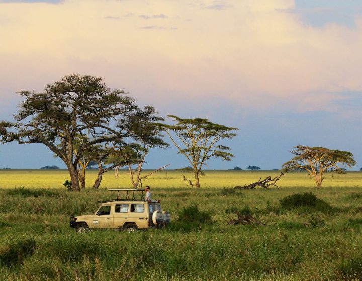 Spectacular 7 Day Affordable Luxury Safari In Tanzania 10 7 day affordable Luxury Safari In Tanzania