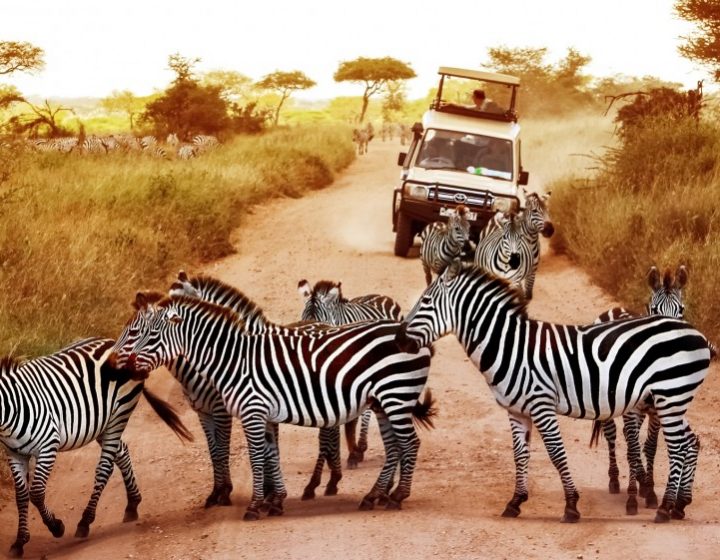 4 Day Budget Tour in Tanzania 5 4 Day Budget Tour in Tanzania