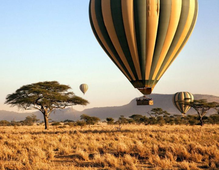 12 Days Affordable Tanzania Tour Package 3 12 Days Affordable Tanzania Tour Package 1