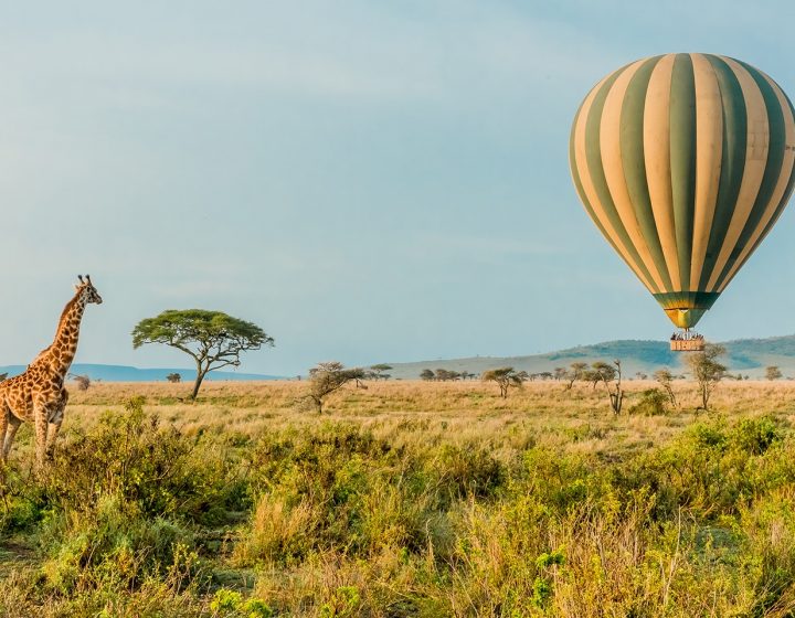 6 Days Tanzania Lodge Safari Package 5 6 Days Tanzania Lodge Safari Package