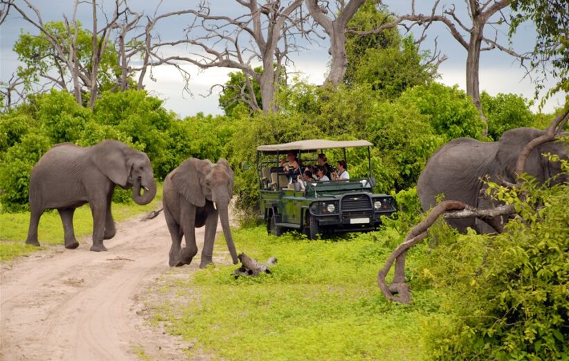 8 Day Safari Tanzania