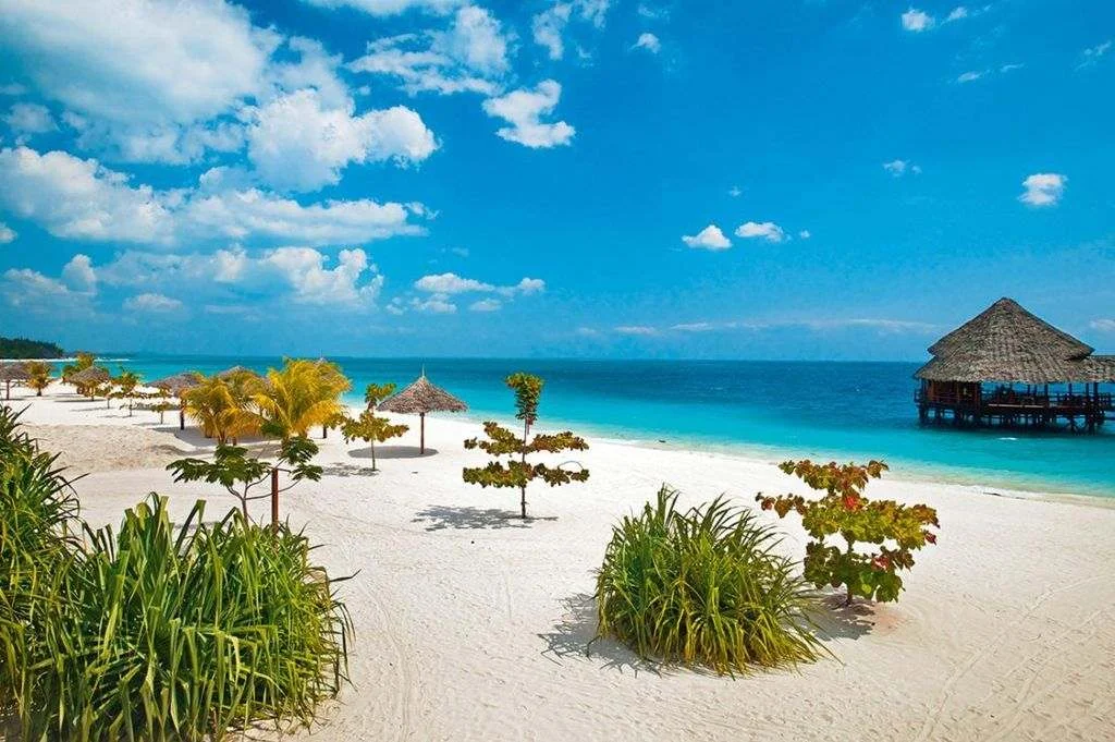 Zanzibar paradise: Relax on pristine beaches after your affordable Tanzania safari.